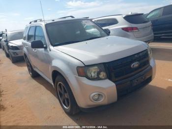  Salvage Ford Escape