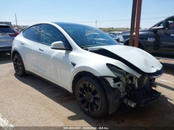  Salvage Tesla Model Y