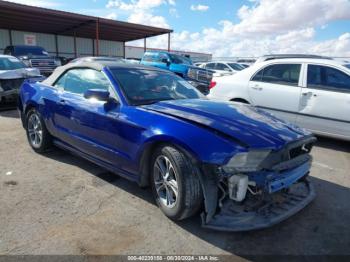  Salvage Ford Mustang