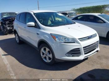  Salvage Ford Escape