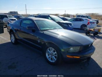  Salvage Ford Mustang