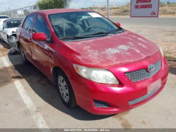  Salvage Toyota Corolla