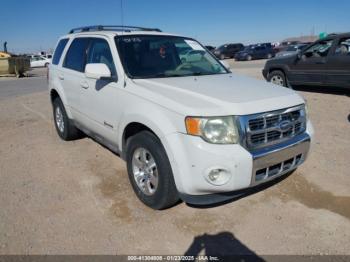  Salvage Ford Escape