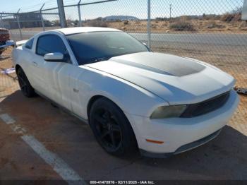  Salvage Ford Mustang