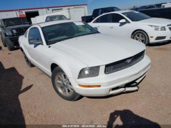  Salvage Ford Mustang