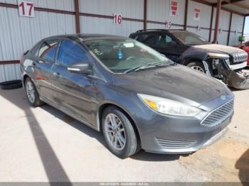  Salvage Ford Focus
