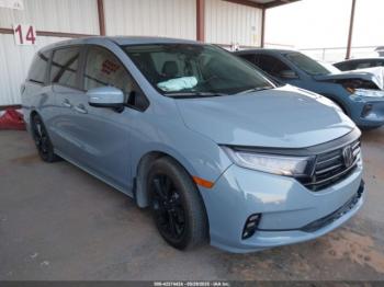  Salvage Honda Odyssey