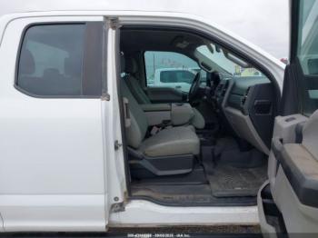  Salvage Ford F-250