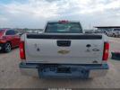 Chevrolet Silverado 1500 Work Truck Image 7