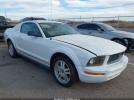 Ford Mustang Image 1