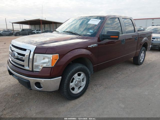 Ford F-150 Image 2