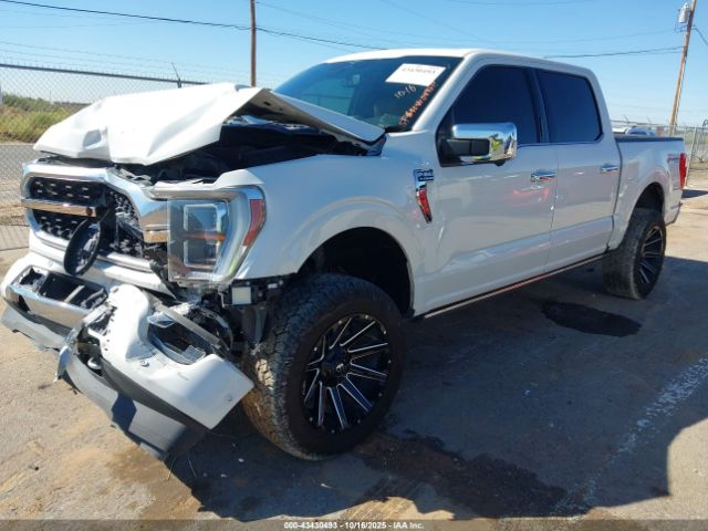 Ford F-150 Platinum Image 13